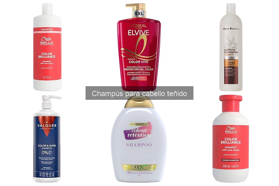 Alternativas Caseras a Champús para Cabello Teñido