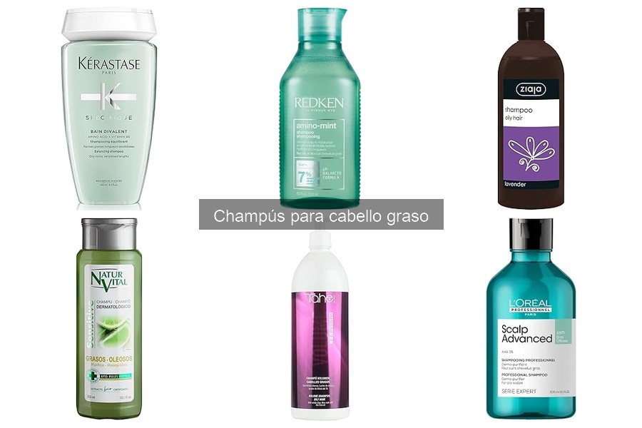 ¿Cuánto cuesta un buen champú para cabello graso?