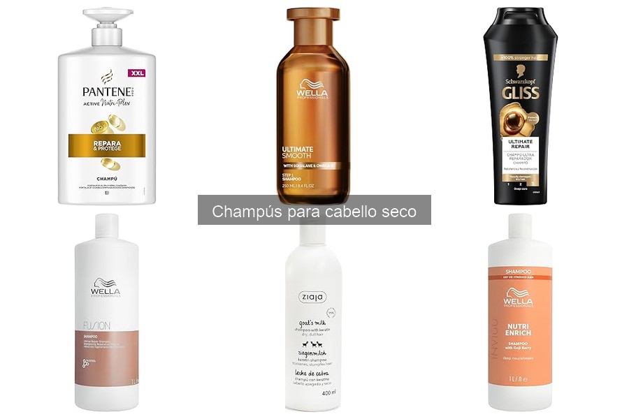 Ingredientes Clave en Champús para Cabello Seco